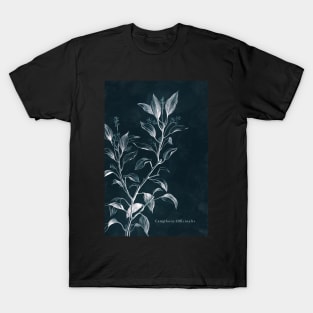 Cyanotype - Camphora Officinalis - C T-Shirt